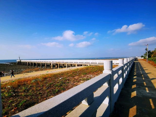 放坡村浪漫趕海