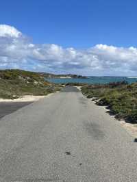🏝️ A Perfect Day on Rottnest Island: Serene Beaches and Quokkas 