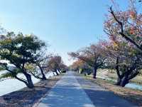 【紅葉と歴史】秋の水戸日帰り満喫モード🍁🚆
