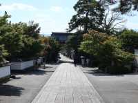 Eikando Temple: A Tranquil Escape in Kyoto’s Summer
