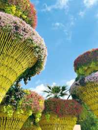 An awesome day spent at Dubai miracle garden 🪴 