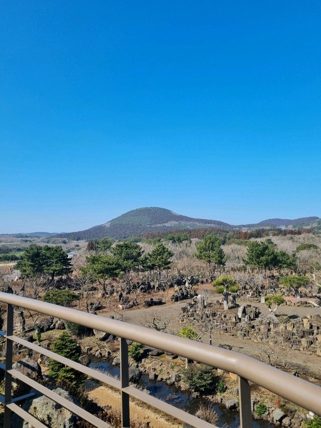제주도에서 꼭 가봐야할 스타벅스☕️