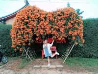 บ้านรักไทย แมฺ่ฮ่องสอน ที่พัก ลีไวน์รีสอร์ท
