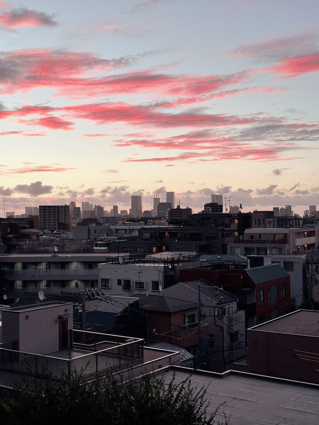 Tranquility in Tokyo: Hatagaya’s Hidden Charm
