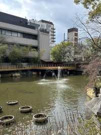 【大阪】神戶生田神社⛩️試玩結緣水占卜💦
