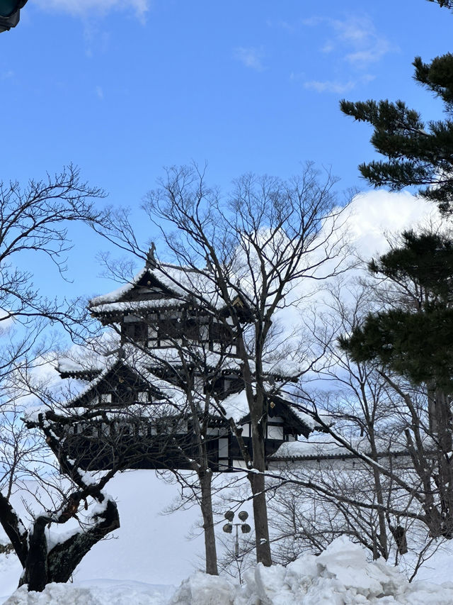 新潟県上越市の高田城