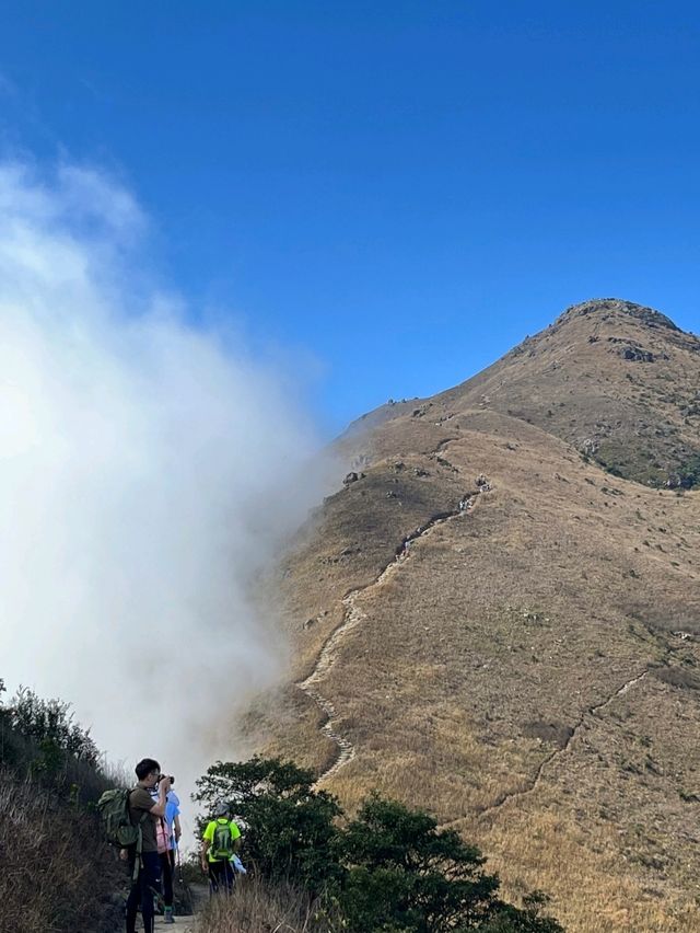 香港大嶼山‐探索自然的壯麗與浪漫✨🏞️，情人節的完美約會地點💖