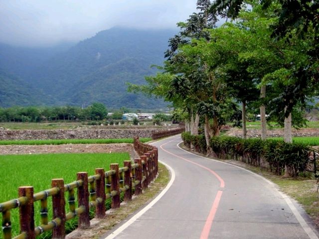 騎單車逍遙遊花東-關山環鎮自行車道