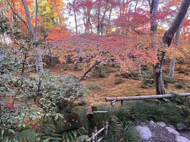 A Sanctuary for the Heartbroken Souls  — The Gio-ji Temple in Arashiyama