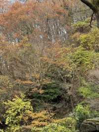 Jeju Seogwipo and cute farm! Best of the best 