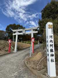 【熊本観光】切り絵の御朱印が可愛い🐇見晴らしのいい神社⛩