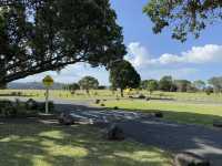 紐西蘭大滿足之親親大自然郊遊樂Ambury Regional Park