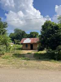 Life on the Outskirts of Tambolaka: Everyday Scenes Worth Seeing