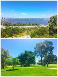 【オーストラリア/パース】世界一美しい街！パースの絶景が見える《Kings Park》