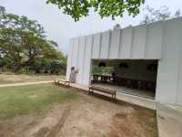 บ้านพัฒก์ (BaanPat)ร้านกาแฟที่มากกว่าห้องนั่งเล่น