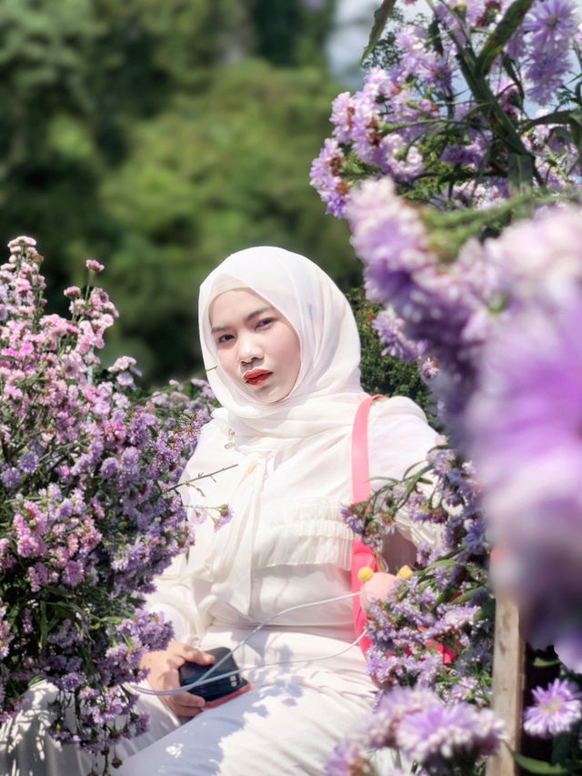 ภูเวียง คาเฟ่ 💐