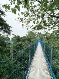 Elevated Adventure at Forest Skywalk, Kepong 🌿🌤 