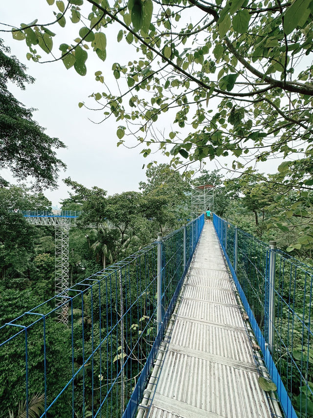 Elevated Adventure at Forest Skywalk, Kepong 🌿🌤 