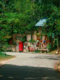 Penang, never a boring trip!