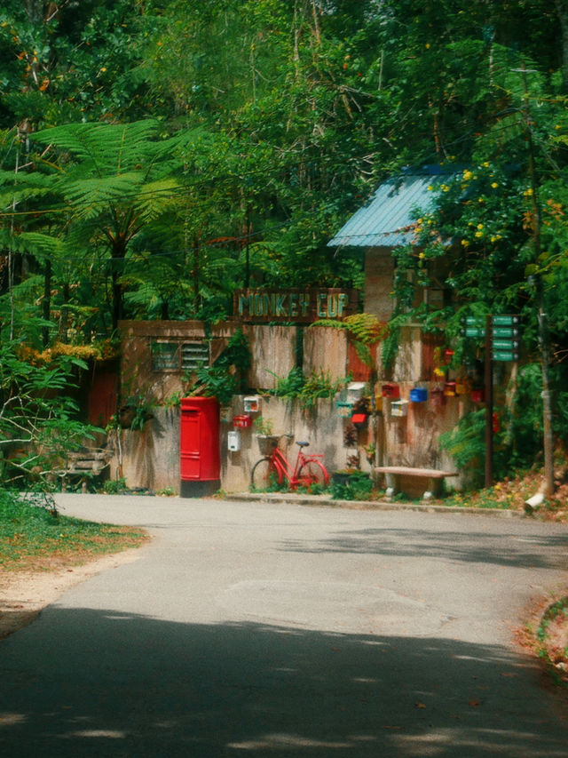 Penang, never a boring trip!