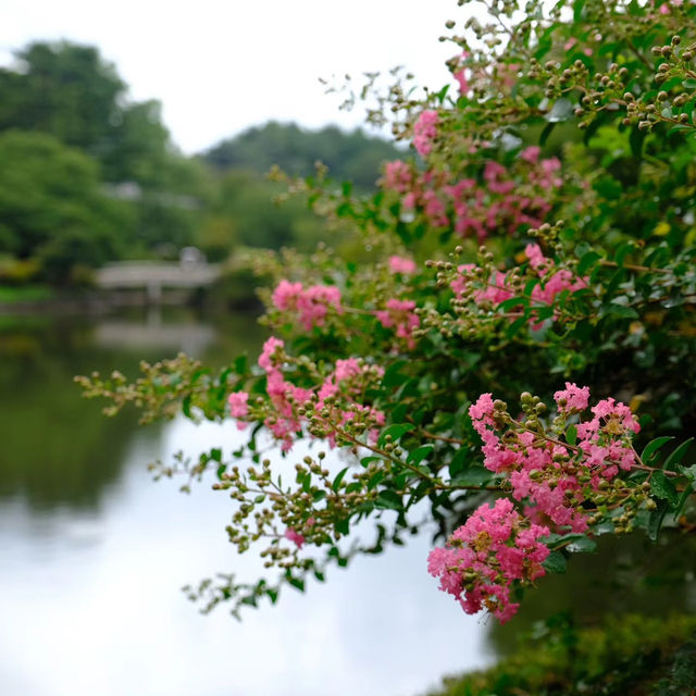 日本皇室的花園🌸🏯皇居東御苑