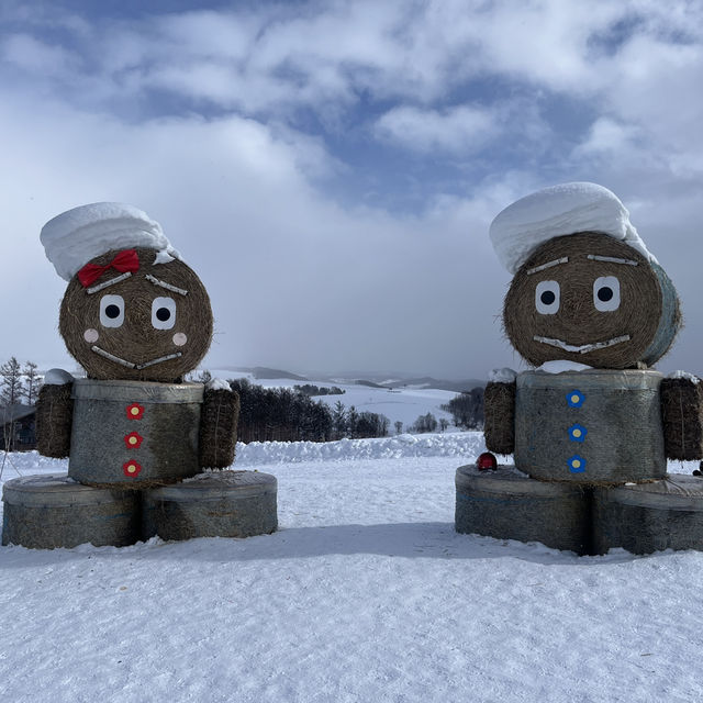 삿포로에 가면 비에이는 꼭 가보세요 ✈️❄️