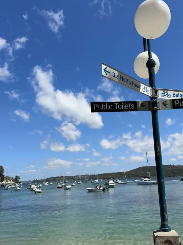 Sun, Surf, and Scenic Views – My Visit to Manly Beach, Sydney