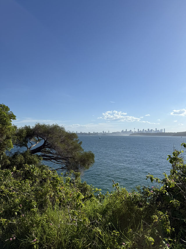 Lady Bay Road