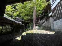 Eikando Temple: A Tranquil Stroll Through Kyoto’s Hidden Gem