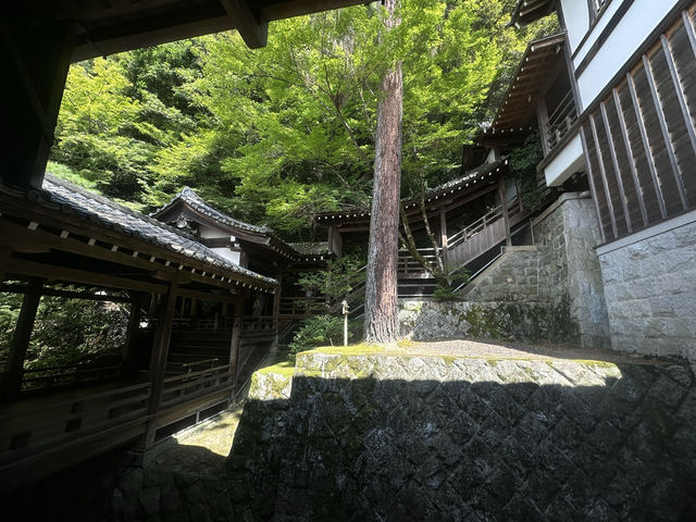 Eikando Temple: A Tranquil Stroll Through Kyoto’s Hidden Gem