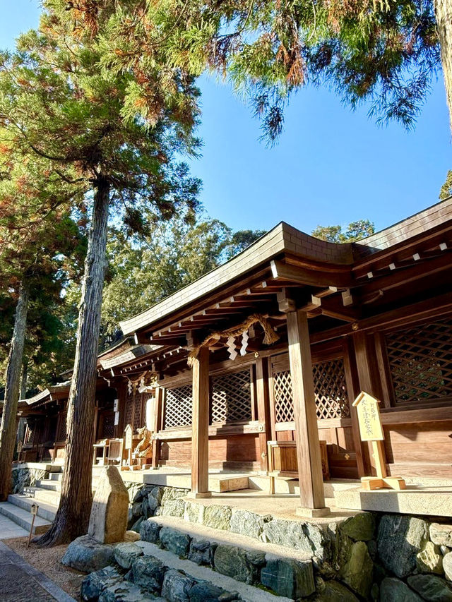 【和歌山県】樹木の神様のもとで木の股くぐり