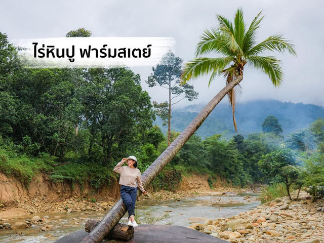 ไร่หินปูฟาร์มสเตย์