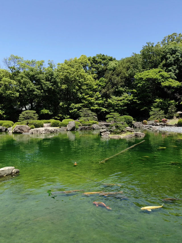 A Tranquil Escape to Ohori Park Japanese Garden