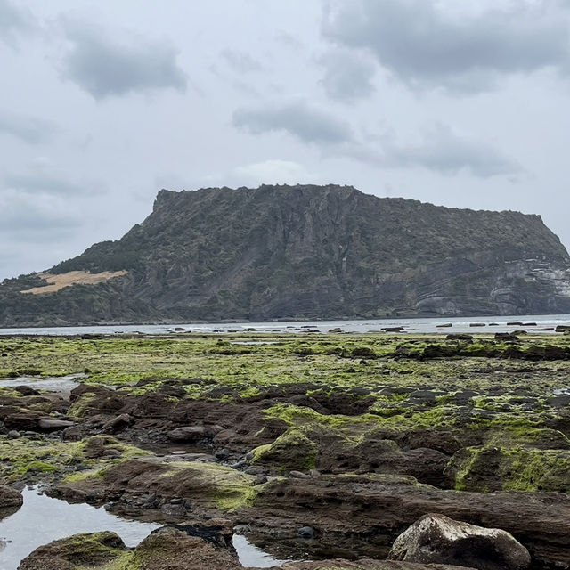 3월 제주도 여행 가볼만한 곳 광치기해변🩵