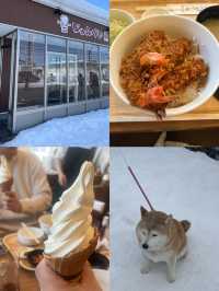 낭만적인 겨울 비에이에서의 1박2일 여행❄️