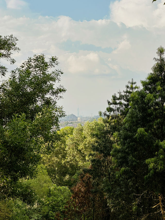 A Refreshing Escape at Putrajaya