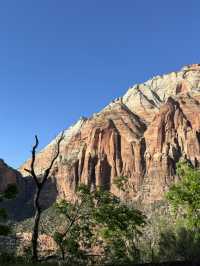 깊고 울창한 자연의 품 안에 숨겨진 보석 같은 장소 “Zion canyon”