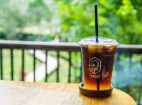 คาเฟ่ท่ามกลางป่าเขาธรรมชาติ
