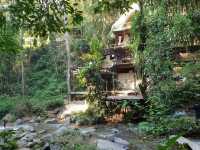 หนีฝุ่นเมืองหลวงมาสูดอากาศบริสุทธิ์ที่แม่แมะ