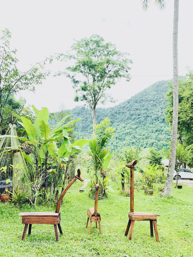 ในสวนศรี พัทลุงบ้านฉัน คาเฟ่กลางสวน ชิลๆ สบายๆ