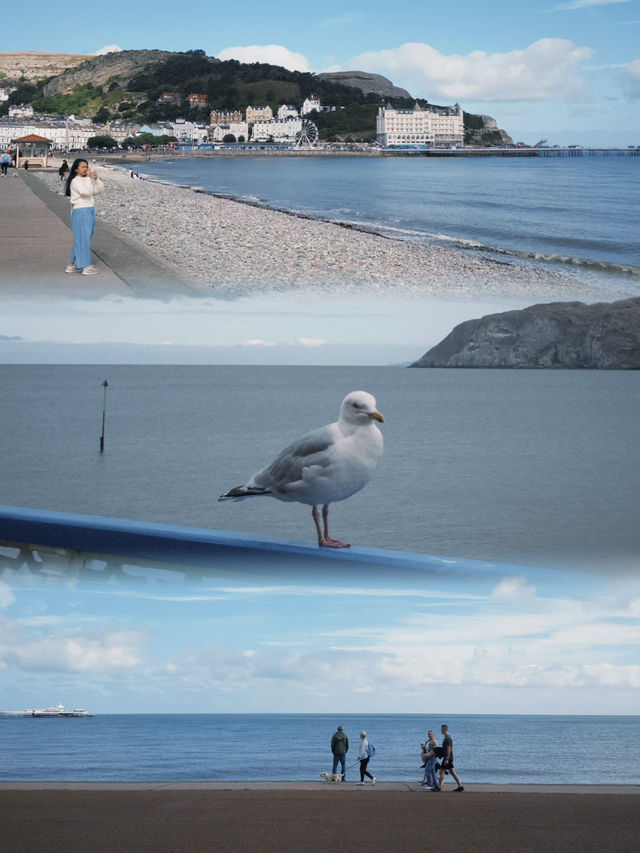 Spring Stroll Along Llandudno Beach