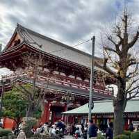 東京晴空塔～淺草一日遊