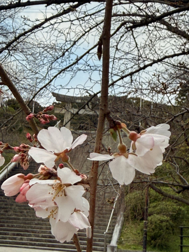 福岡｜唐隋朝遣唐使送別地 光雲神社的巧妙設計投硬幣會有鶴鳴聲
