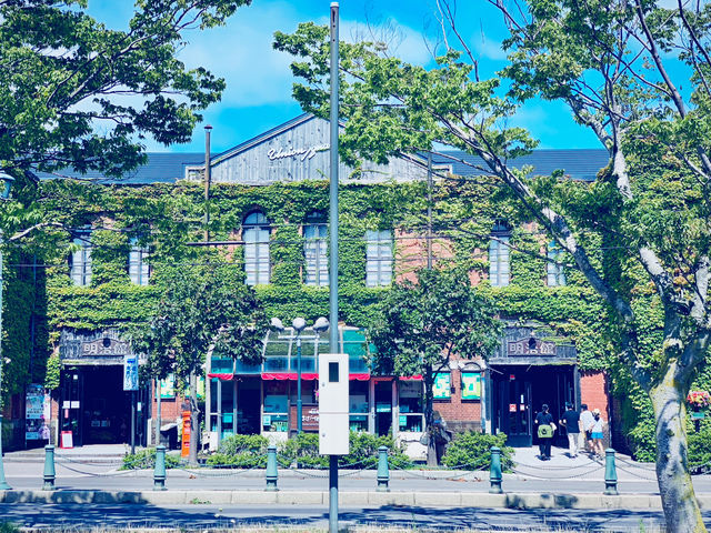 【欧風ロマン in 北海道】東京発・函館日帰りロマンチックプチ旅行🌍✨