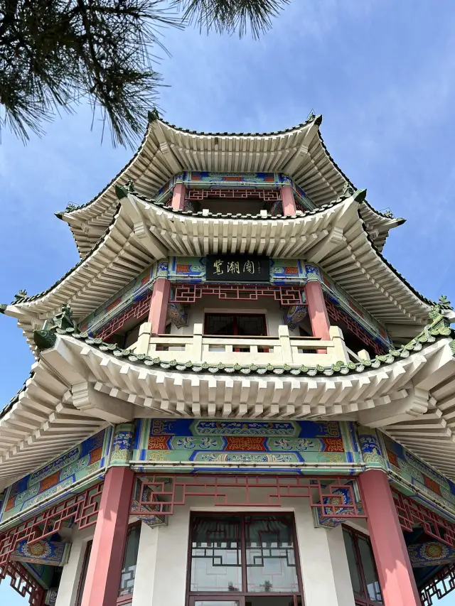 青島之美