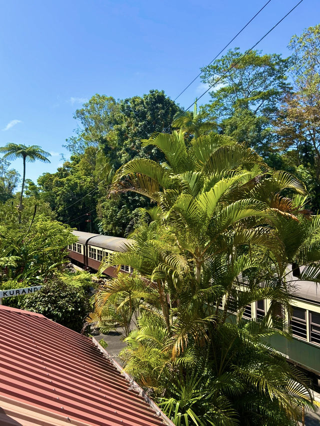 【キュランダ🇦🇺】レールウェイ