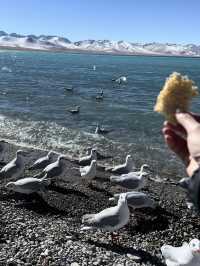 Perfect Day of Adventure and Serenity in Tibet