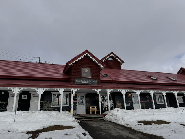 來北海道一定要去高橋牧場🤩