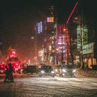 Sapporo: A Winter Wonderland with Year-Round Charm