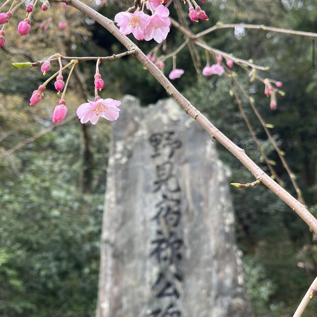 太宰府天滿宮（Dazaifu Tenmangu）